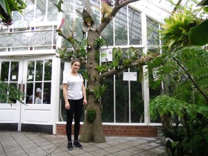Conservatory of Flowers