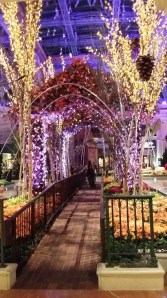 Inne på Hotel Bellagio 