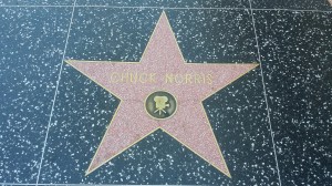 Turte ikke annet enn å inkludere dette bildet.  Chuck Norris is the reason why Waldo is hiding. Nuff said!