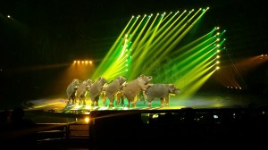 Chime-long international circus