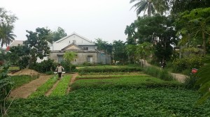 På besøk hos en av de lokale for å se på grønnsaks- og krydderhage