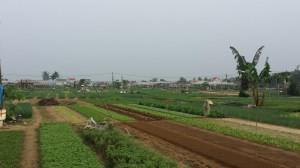 Utsikt fra sykkelsetet