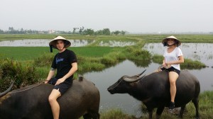 Ridetur på vannbøfler! spenstig opplevelse.. 