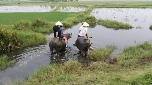 Livredd for å falle i vannet....