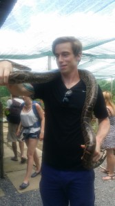 Kunne ikke være noe dårligere!