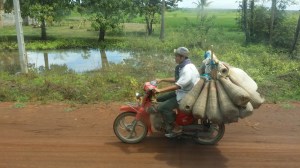 Mopeder er allsidige kjøretøy