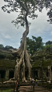 Her har vi ankommet "Ta Prohm" (tempelet som ble bruk i den første Tomb Raider filmen - fra 1999)