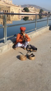 Slangeslarmør! Spiller fløyte for den stakkars kobra slangen som steker i solen
