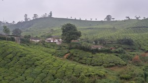 Utsikten fra hotellrommet