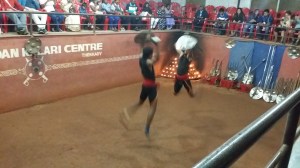 Martial arts show i Thekkady
