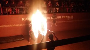 Martial arts show i Thekkady