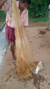 Fancy måte å fiske på. Man hiver uti et nett med lodd slik at det lukker seg i vannet, og vips får man fisk. Det skal sies at denne fiskeren var visstnok veldig heldig med dagens fangst. 