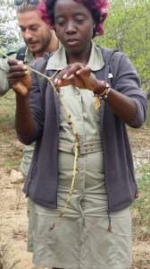 En av de lokale guidene har funnet frem noen termitter vi smakte på