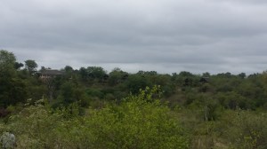 Jeg ser ikke hva dette er for noe...