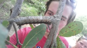 Labbetuss i larveform