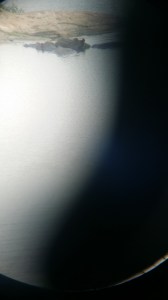 Flodhester, tatt gjennom kikkerten (ja, vi skal kjøpe ordentlig kamera neste gang vi skal ut på tur...)