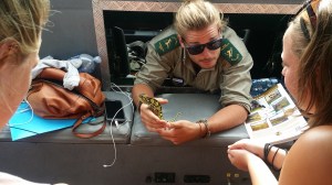 Kameleon! Den skifter farge etter underlaget den står på:) Og "reiselederen" vår "Jo". 