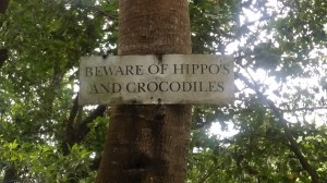 Skilt på en sti nedenfor villaen vi bodde i siste natten i Krügerparken