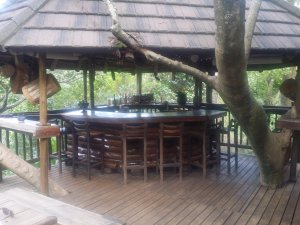 Siste stopp i Krügerparken; en kjempe villa midt i bushen. 